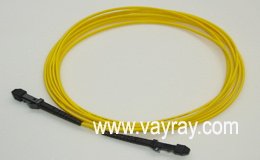 Single mode Duplex MTRJ to MTRJ Fiber Optic Patch Cable